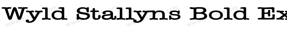 Wyld Stallyns Bold Extended字体转换